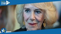 La reine Camilla s’impose : ces exigences qui font sourciller le personnel…