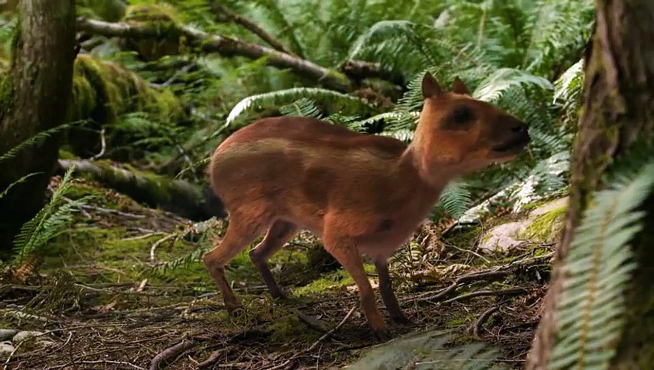 Nova - Se46 - Ep09 - First Horse Warriors HD Watch