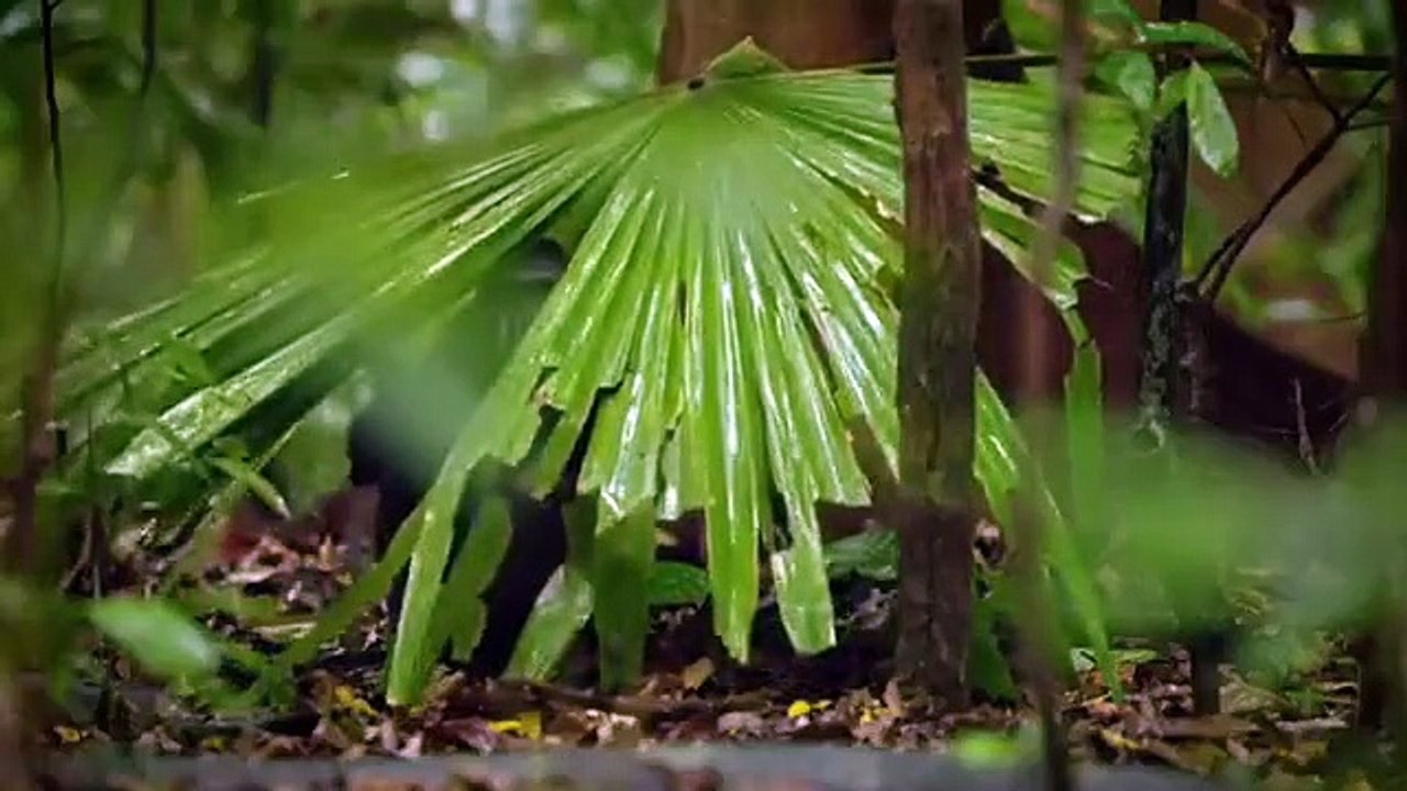 Nova - se46 - ep13 - the planets - mars (2) hd watch