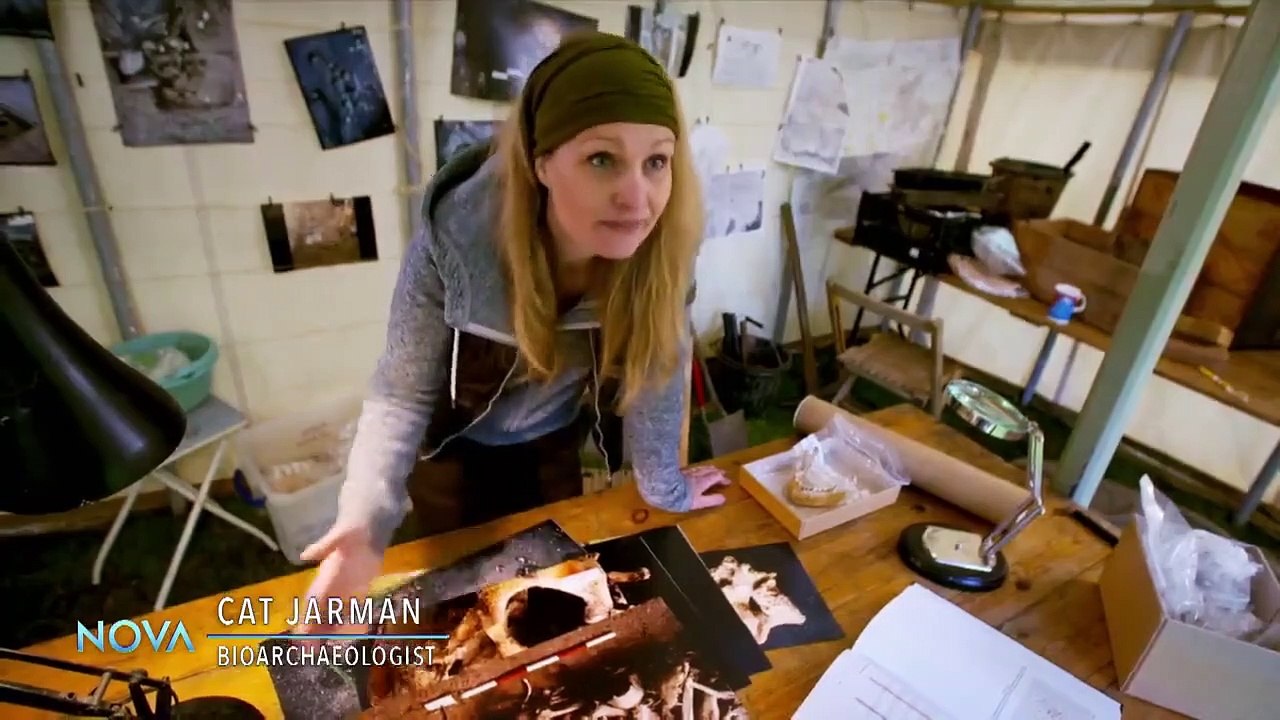 Nova - Se46 - Ep10 - Lost Viking Army HD Watch