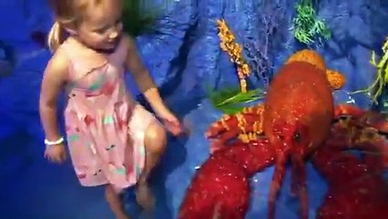 OutDaughtered - Se6 - Ep04 - Quint Tested, Parent Approved HD Watch