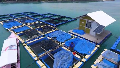 سكان جزيرة إندونيسية يقاضون "هولسيم" في سويسرا بسبب أضرار مناخية