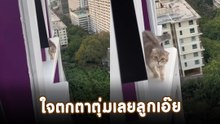 ทาสใจหายแวบ ! เปิดประตูคอนโดรับลม เผลอแป๊บเดียว เป็นเรื่องระทึก