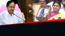 Ys Sharmila ఎటకారం CM KCR  కు బూట్లు పంపిన YSRTP Chief *Trending | Telugu OneIndia