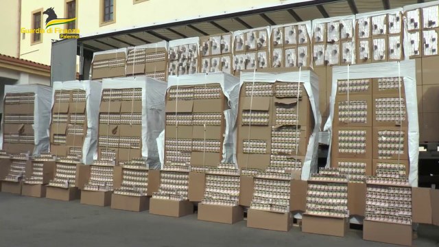 Palermo, cane finanziere scopre carico sigarette di contrabbando