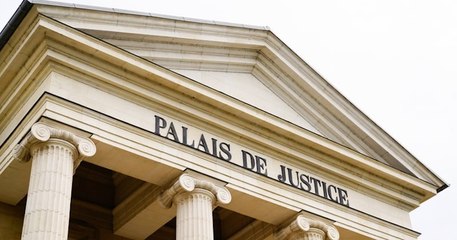 Strasbourg : un homme condamné à de la prison ferme pour avoir défenestré son chien