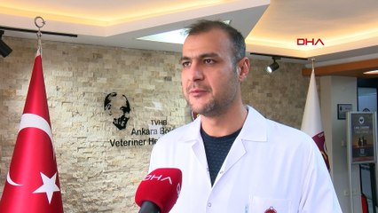 Evcil hayvanına çip taktırmayanlara ilk cezalar kesildi