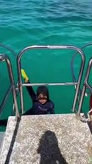 Un nene de 8 años fue atacado por un tiburón en Australia
