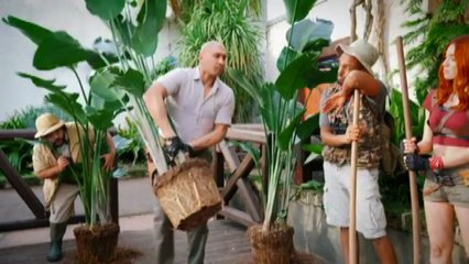 Arrivate a Gardaland oltre 2000 piante per Jumanji The Labyrinth