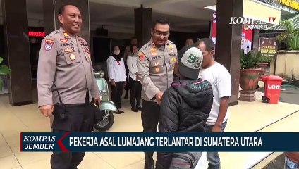 Viral Video Pekerja Asal Lumajang Terlantar di Sumatera Utara