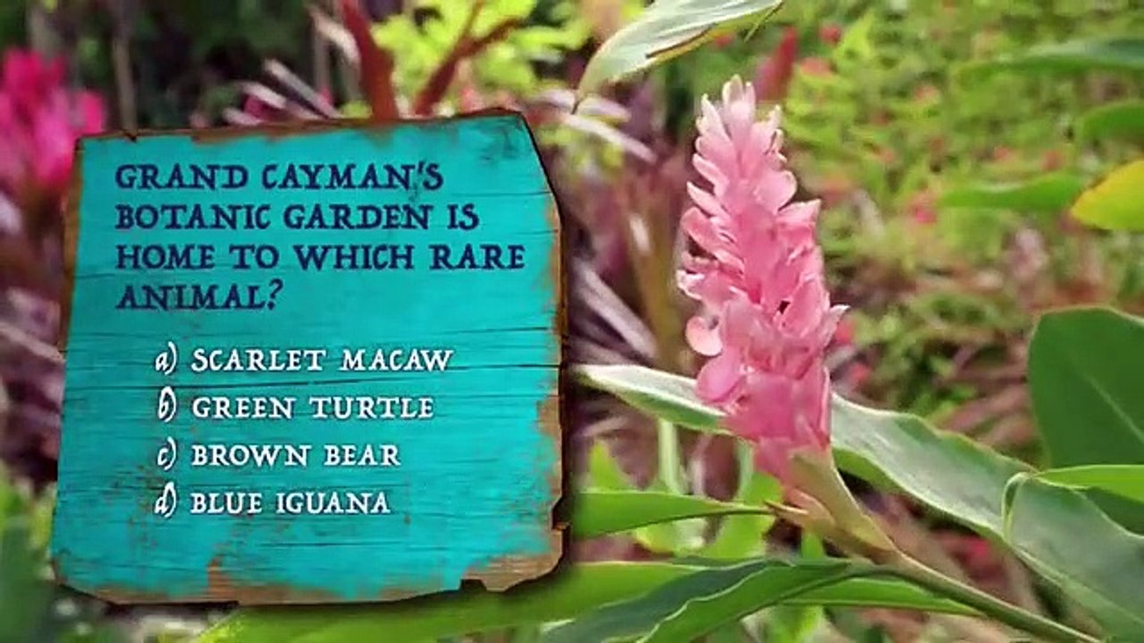 Caribbean life - se12 - ep01 - adventure on grand cayman hd watch