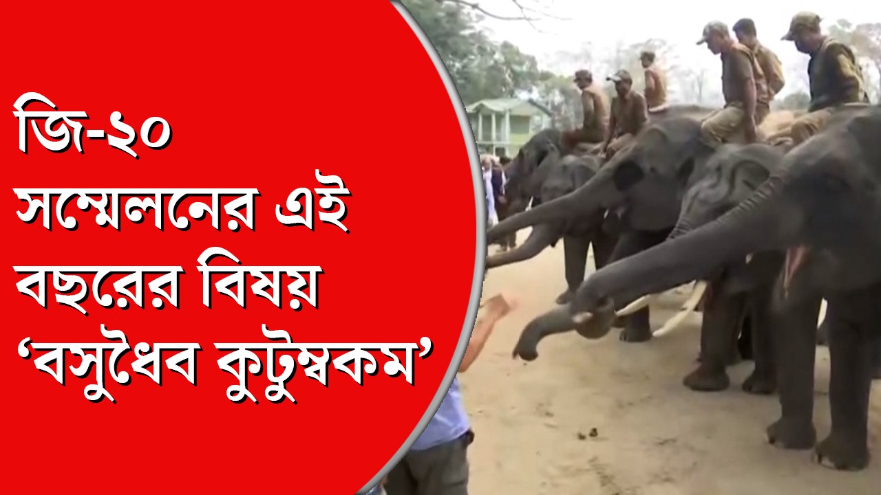 কাজিরাঙায় জি-২০র প্রতিনিধিরা