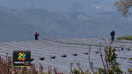 tn7-productores-y-agricultores-temen-despidos-por-caida-en-precio-de-dolar-020223
