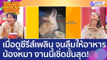 เมื่อเจ้านายดูซีรีส์เพลิน จนลืมให้อาหารเย็นน้องหมา งานนี้เชิ่ดขั้นสุด! (2 ก.พ. 66) แซ่บทูเดย์