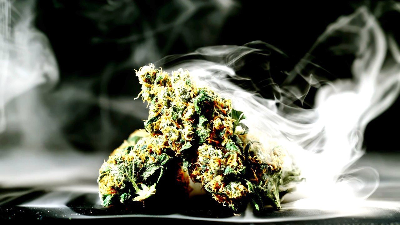 Cannabis Smoking Not Linked to Reduced Lung Function; Tobacco Remains the Danger