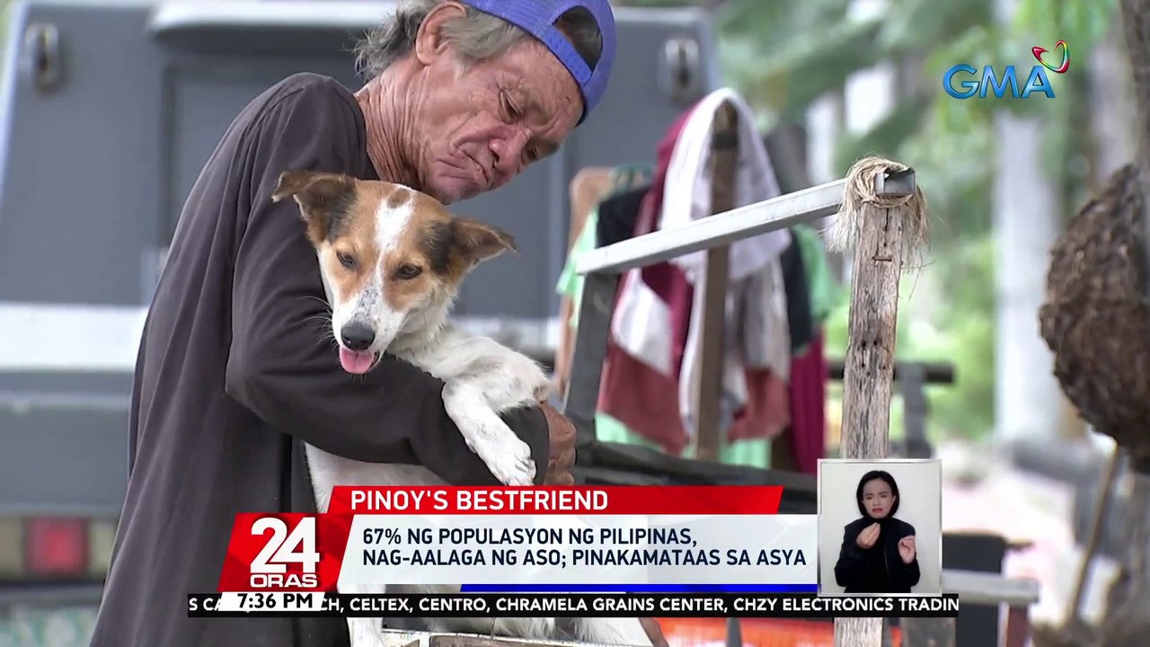 67% ng populasyon ng Pilipinas, nag-aalaga ng aso; pinakamataas sa Asya | 24 Oras