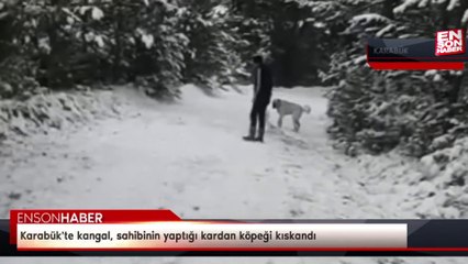 Karabük'te kangal, sahibinin yaptığı kardan köpeği kıskandı