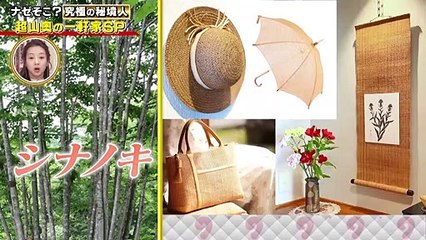ナゼそこ？ 2023年2月2日