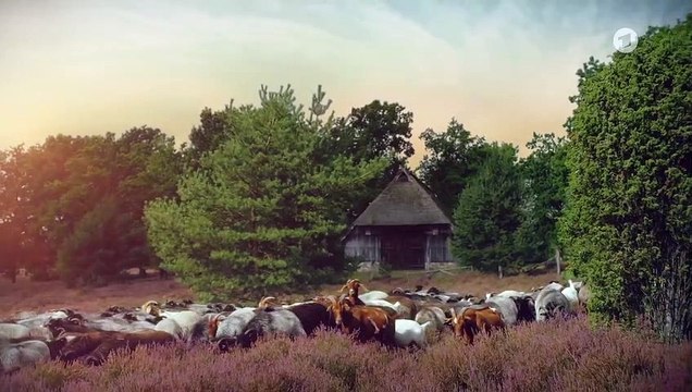 Rote Rosen 3711 folge