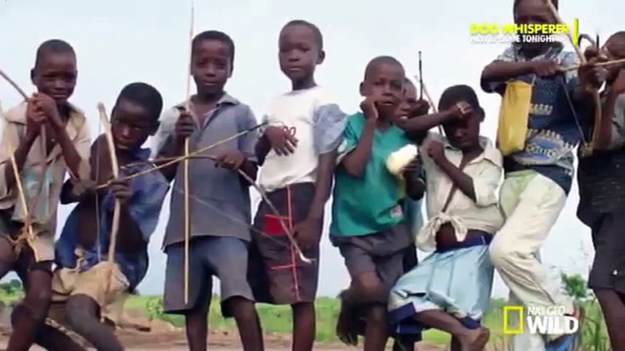 Dog Whisperer with Cesar Millan - Se9 - Ep03 HD Watch