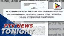 Sen. Tulfo files another proposes Maharlika Investment Fund