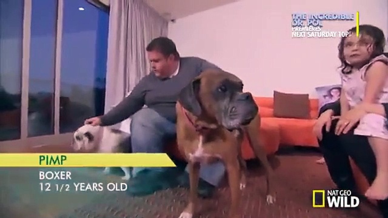 Dog Whisperer with Cesar Millan - Se9 - Ep08 HD Watch