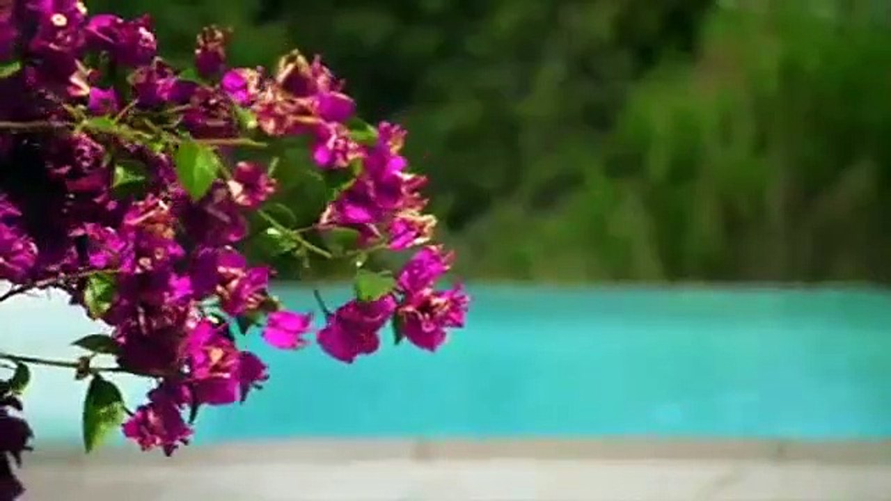 Leah Remini - It's All Relative - Se1 - Ep05 HD Watch