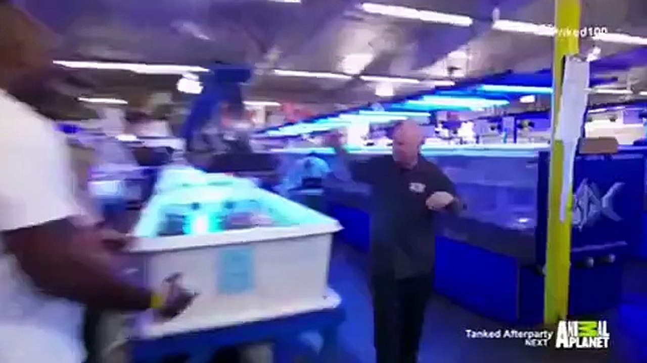 Tanked - Se8 - Ep01 HD Watch