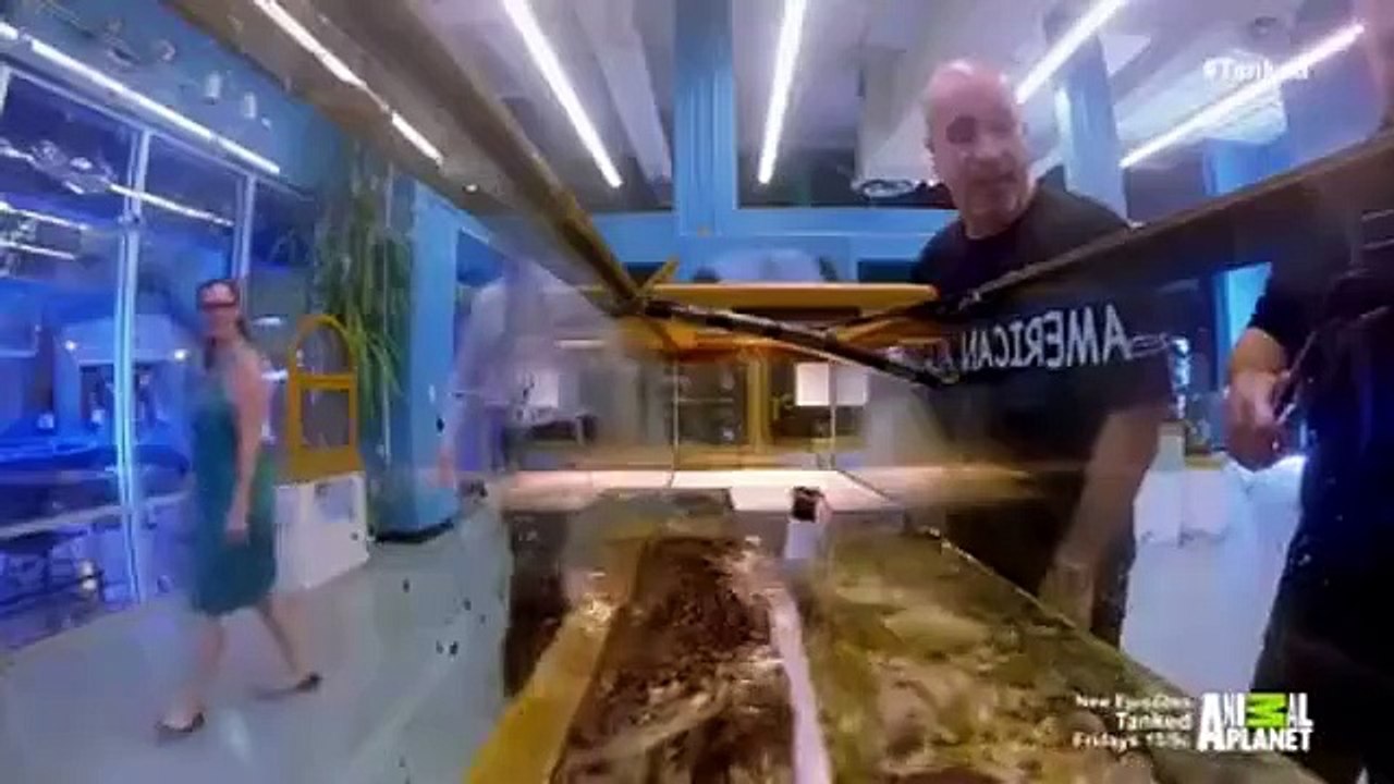 Tanked - Se8 - Ep07 HD Watch