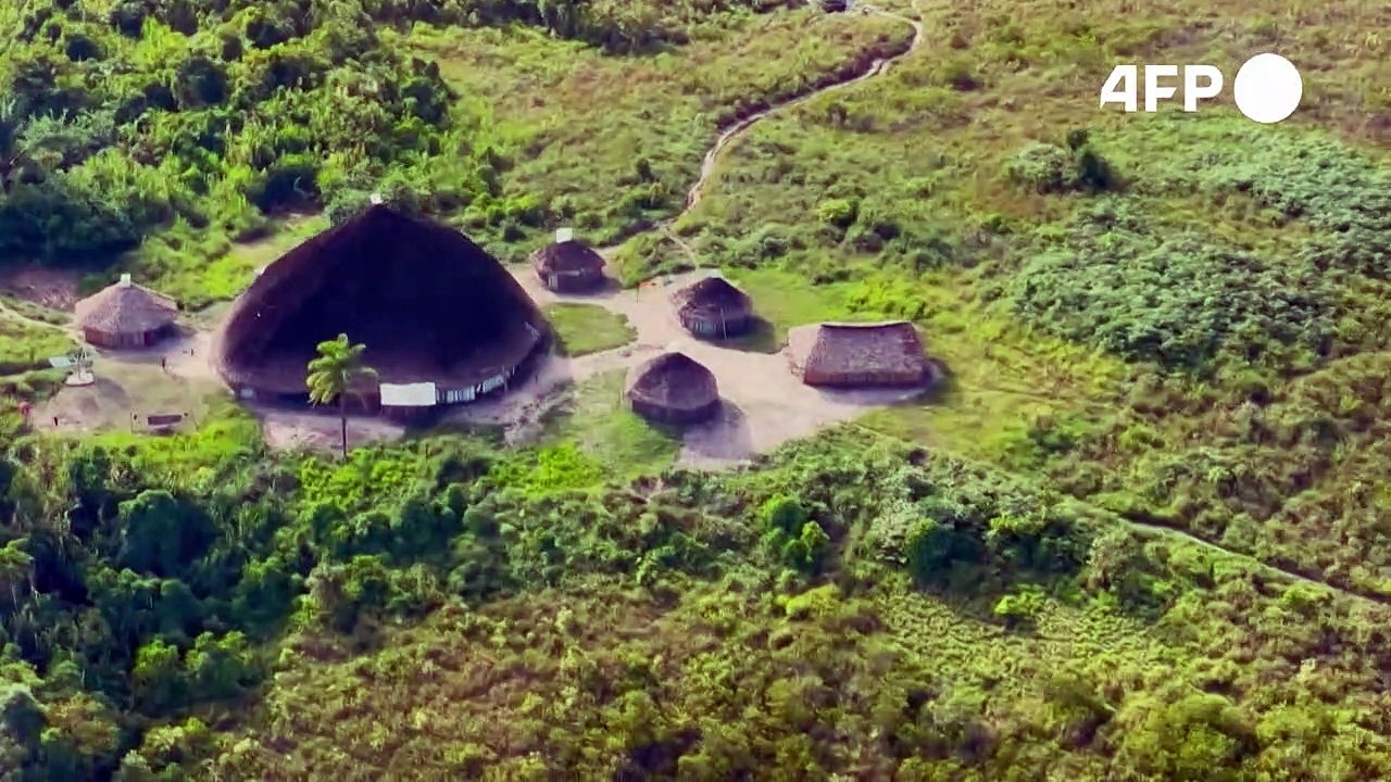 Armee in brasilien schützt amazonas-ureinwohner vor goldgräbern