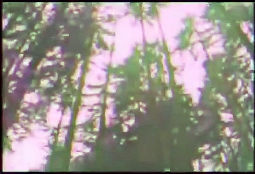 The Outer Limits - Se7 - Ep17 - Rule of Law HD Watch