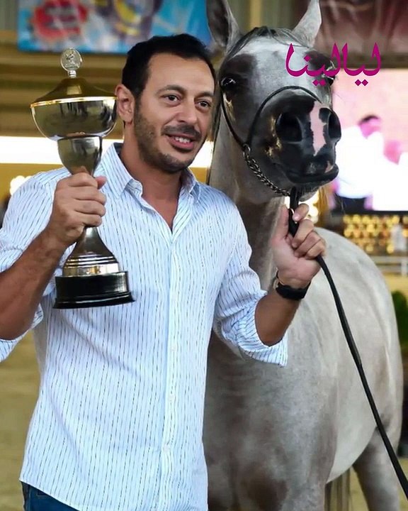 نجوم يهوون تربية الخيول