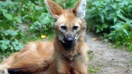 Conan - Se9 - Ep92 - Paul Rudd HD Watch