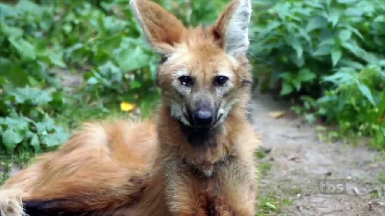 Conan - Se9 - Ep92 - Paul Rudd HD Watch