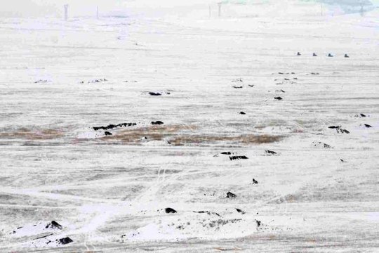 MSB'den Cumhuriyet tarihinin en kapsamlı kış tatbikatı: Kış Tatbikatı-2023