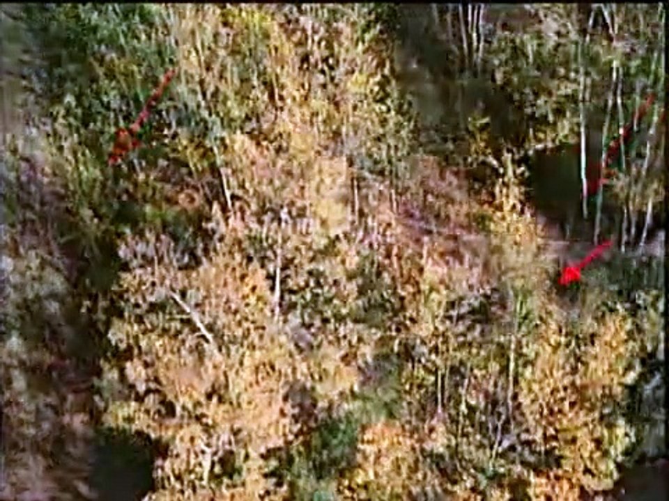 Forensic Files - Se8 - Ep23 HD Watch