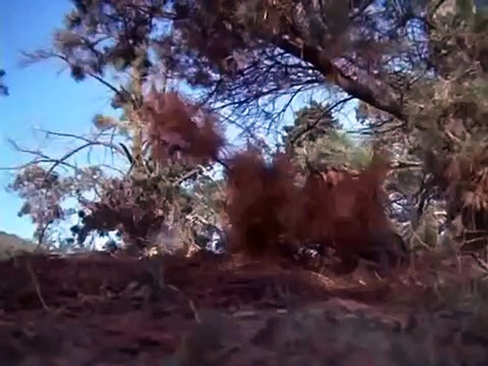 Combat! - Se5 - Ep90 HD Watch