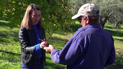 A taste of history: The unmistakable flavours of Extremadura