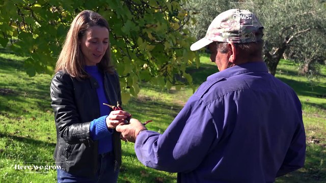 Qualité et durabilité, les maîtres-mots des produits du terroir de l'Estrémadure
