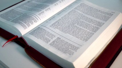 Gianluca De Micheli Libro Clip Roma 223