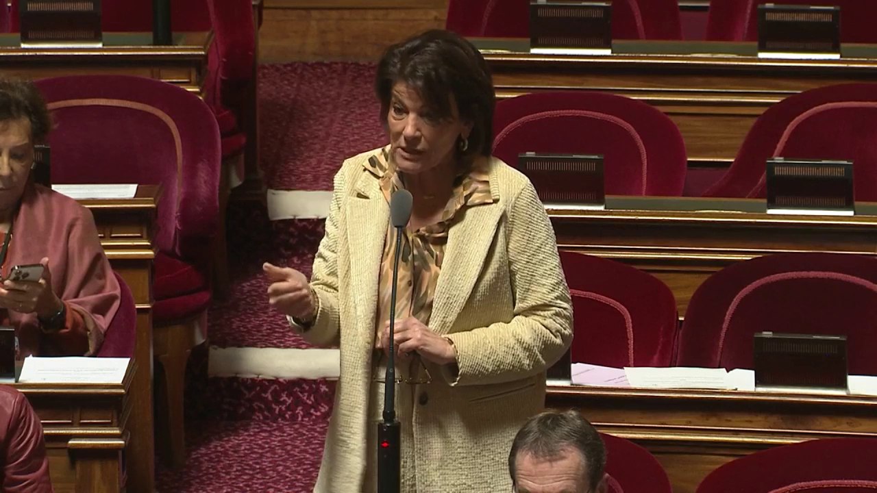 "Ils ne sont le domicile de personne, mais sont bien la propriété de quelqu’un", D. Estrosi-Sassonne