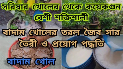 বাদাম খোলের তরল জৈব সার তৈরী, প্রয়োগ এবং কার্যকারিতা ; Groundnut cake fertilizer