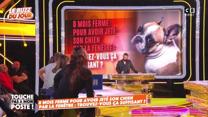Il écope de 8 mois ferme pour avoir jeté son chien par la fenêtre !