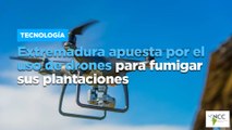 Extremadura apuesta por el uso de drones para fumigar sus plantaciones
