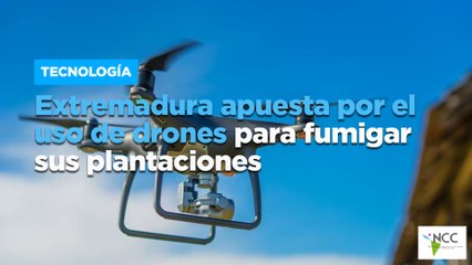 Extremadura apuesta por el uso de drones para fumigar sus plantaciones