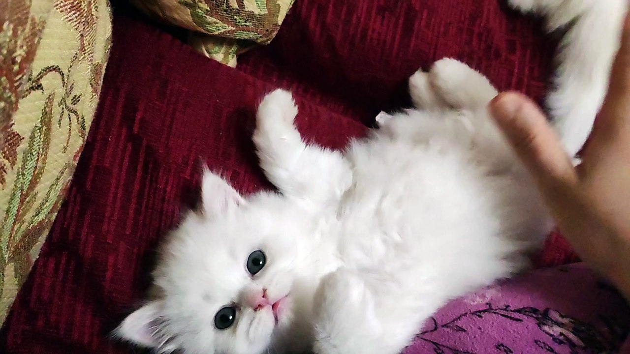 Let me Sleep
