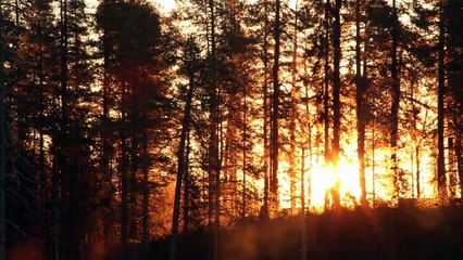 Aatsinki: The Story of Arctic Cowboys (2013) | Watch the Official Trailer & Full Movie Preview ❄️