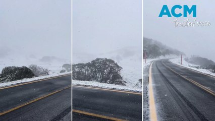 Summer snow becomes a regular at Perisher with latest dump