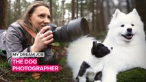 My Dream Job: This woman has the job that EVERY dog lover wants