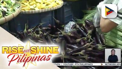 Bureau of Plant Industry: Walang kakulangan sa supply ng kamatis sa bansa